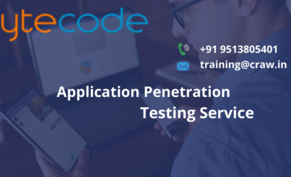 Application Penetration Testing Service in Delhi