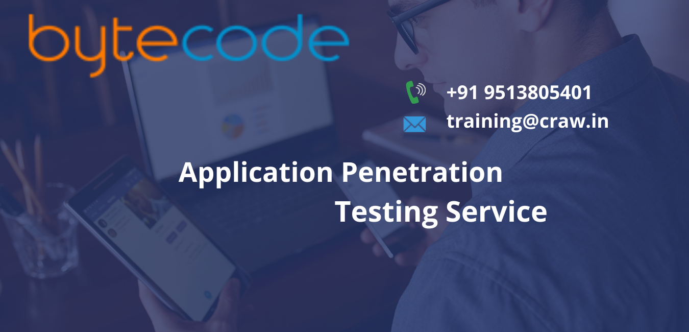 Application Penetration Testing Service in Delhi