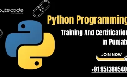 Python Programming