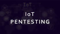 IoT penetration Testing in Delhi