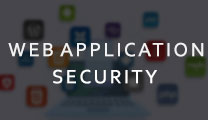 web-application-security