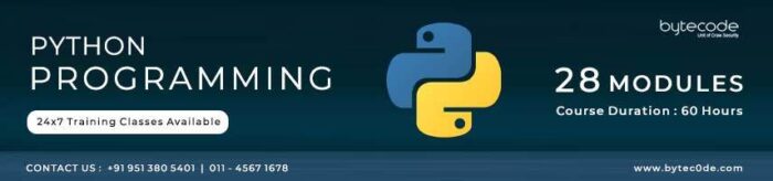 Python Programming Training and certification in Delhi