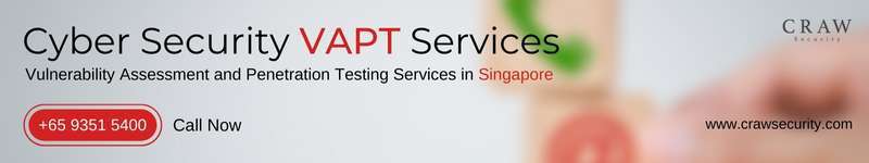 Cyber Security VAPT Services
