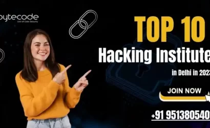 Top 10 Hacking Institute in Delhi