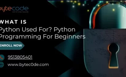 What is Python Used For