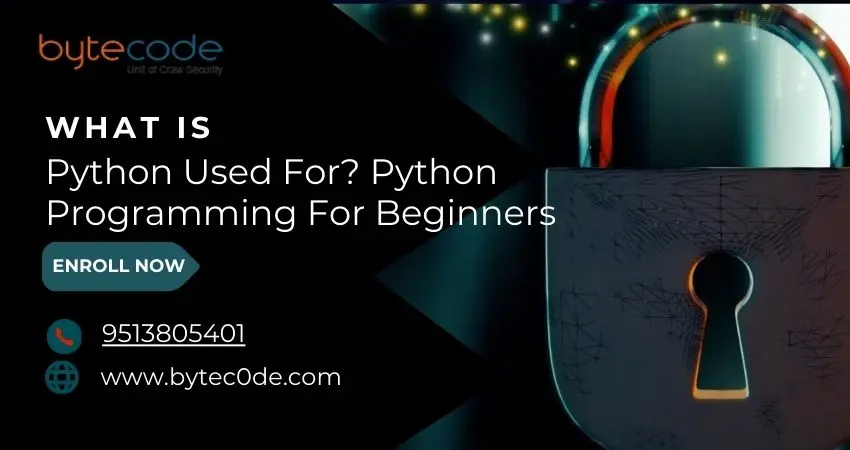 What is Python Used For