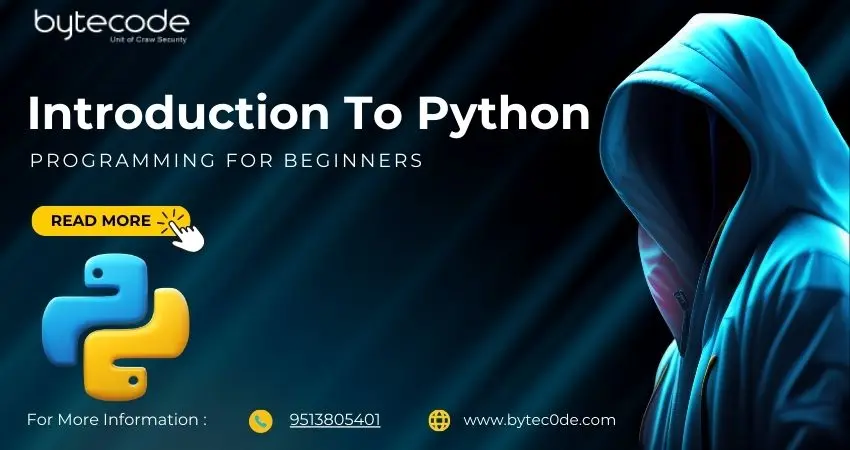 Python Programming For Beginners